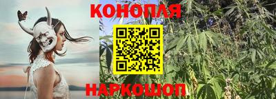 СК Анапа